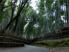 hiro̒|т̓ւ̓eʐ^1