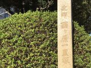 ҂݂񂳂̐ꗢ˂̓eʐ^1