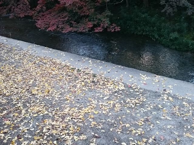 񂿂񂳂̋vRn̓eʐ^1