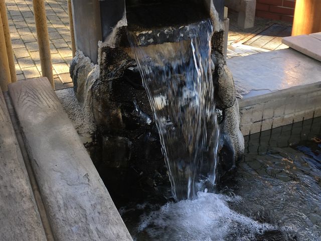 �c����|�J�|�J_���̐쉷��