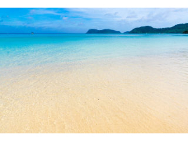 �������C�ł��I_�C�_�̕l