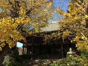 ܂邳̑c]̃C`Et̓eʐ^1