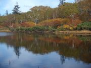 JoeBlack̐_Rx{т̓eʐ^1