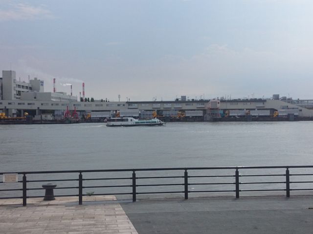 MZiރEH[^[Vg_MZEH[^[Vg