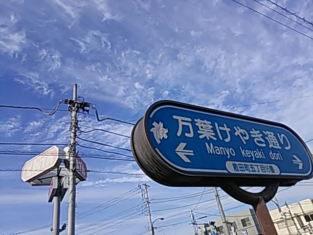 ݂̘aHXgƂł񔪉qUcX̓eʐ^1