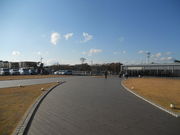 ��������񂳂�̔��؎R�Ă��؂�Ђ�΂̓��e�ʐ^1