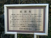 ͂񂳂̒ؓꡋՂ̓eʐ^3