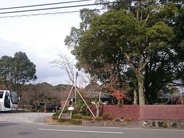 Xkv̉Ԃ₵ {X̓eʐ^1