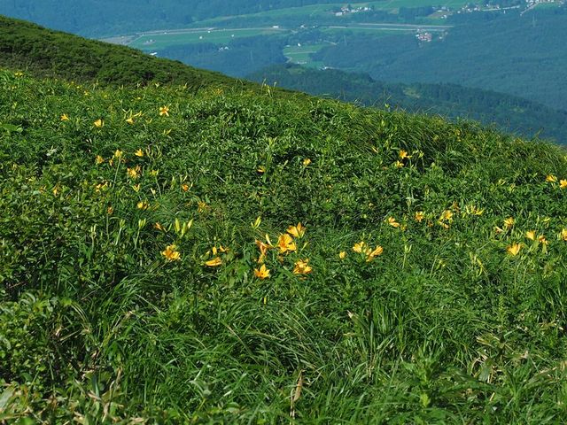 C[XgEbh̏HcxRAт̓eʐ^4