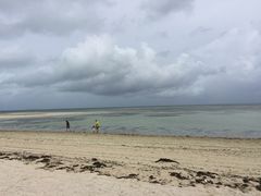 Ȃ݂̃RhCr[`ւ̓eʐ^1