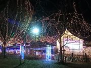 Xkṽ~X^[h[ic tX|Vbv̓eʐ^1