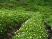 C[XgEbh̏HcxRAт̓eʐ^2