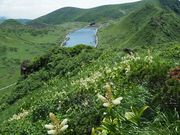 C[XgEbh̏HcxRAт̓eʐ^3