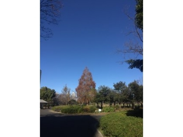 �L��ł��B_�؏����