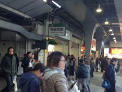 ܂Ƃ̗LywOLւ̓eʐ^1