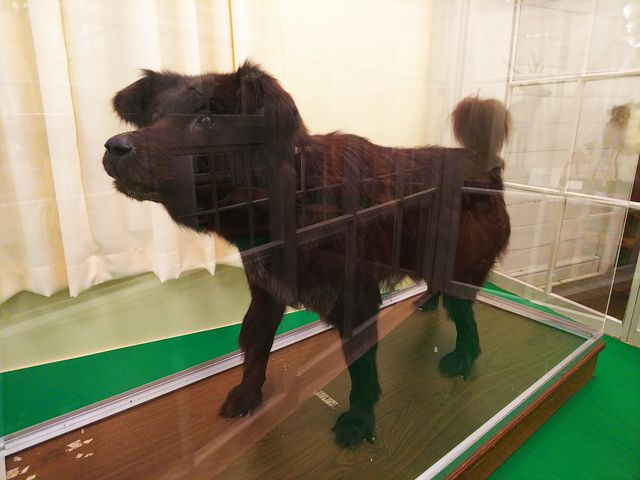 �^������B_�k�C����w�A����