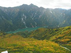 C[XgEbh̗RAy[gyxRzւ̓eʐ^1