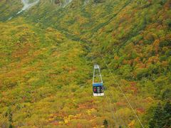 C[XgEbh̗RAy[gyxRzւ̓eʐ^2