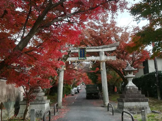 �Q��_��X�_��