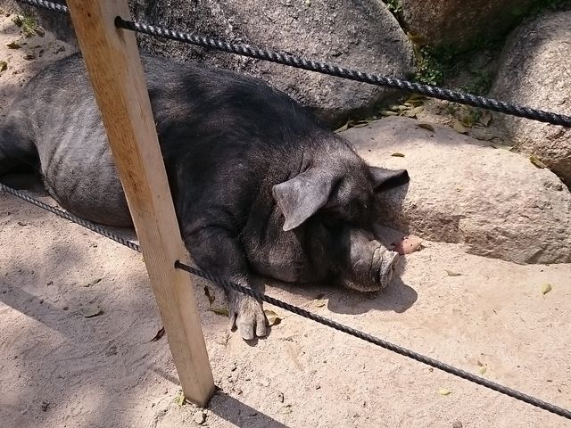 �u�^����_����s���R������