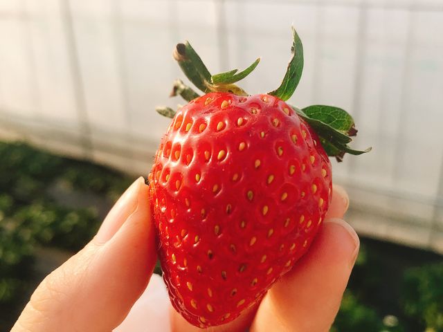 �嗱�ŊÂ��Ĕ������������ł�_�₢�����R��������