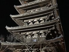 DSЂۂ񂳂̖@ώi̓jւ̓eʐ^1