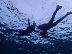 ꂢ̐Ί_ ADVENTURE PiPiւ̓eʐ^1