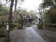 �ߋT���|�~���̌��_�Ђ̓��e�ʐ^3