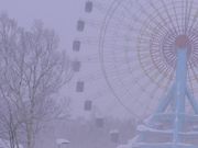 NOJIC̃Tb|eCl̓eʐ^1