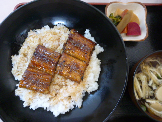 1600~2L̂Ȃ_w̃EiM ܂悵