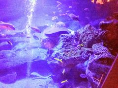 ~[񂳂̓\}`ւ̓eʐ^1