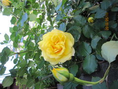 W[Ŵ܂Ȃ݊Cւ̓eʐ^1