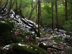 V^J̉vKChNuւ̓eʐ^1