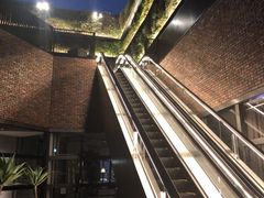 cinnamon̓}vUւ̓eʐ^1