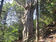 ǂ炦񂳂̋ʒuRQ̓eʐ^1