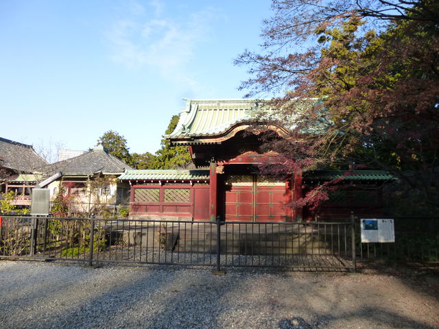 青空を背景に美しい_徳川家霊廟