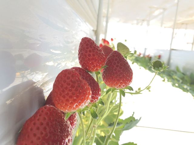 �ق�Ɣ�������(^ ^)_�Θa�������ِ�