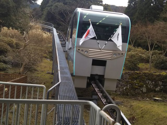 2019�N1��2�� �p�F�R���[�v�E�F�C_�p�F�R�_�{