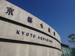 京都水族館の写真一覧 8ページ目 じゃらんnet