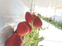 䂤₳̐Θaِւ̓eʐ^1