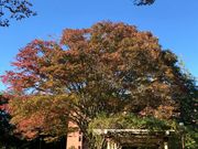 MINT̓Ɨs@lق̓eʐ^1