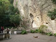 ayukan̉Ԃ̌A_Ђ̓eʐ^1