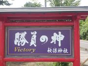 ꂨ񂳂̏Hې_Ђ̓eʐ^1