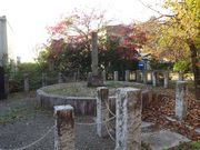 pon����񂳂�̐��i�_�Ћ����̓��e�ʐ^2