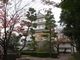 ponちゃんさんの忍城御三階櫓の投稿写真1