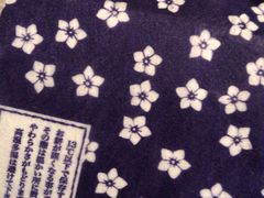 ��₳��̋j�[���ւ̓��e�ʐ^1