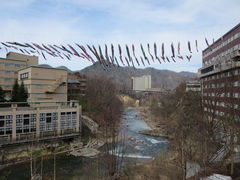 �ۂɂ傳��̒�R�k�ւ̓��e�ʐ^1