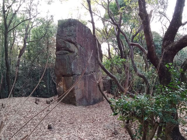 ݂˂[̊Ö؎RRV̓eʐ^1