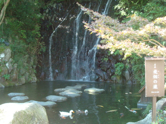 ��⊛�����܂���_���|�̑�