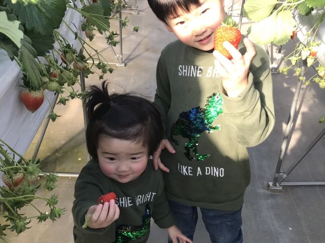 ���������債�čD���ł͂Ȃ����q����_���R��������